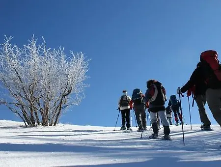 D'hotes Les Cigognes Bed & Breakfast *
