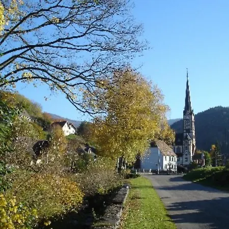 D'hotes Les Cigognes Bed & Breakfast Metzeral