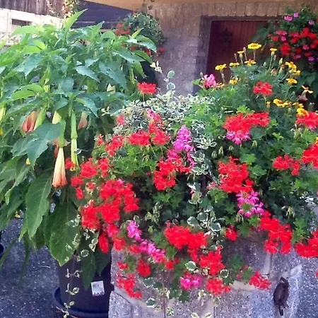 D'hotes Les Cigognes Bed & Breakfast